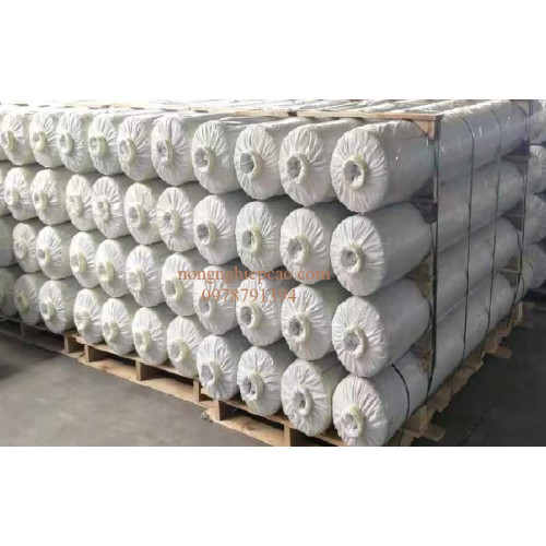 Màng kính PRO FILM khổ 5m, 6m, 7m