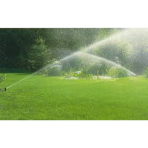 Vòi tưới cỏ Hunter