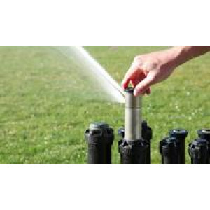 Vòi tưới cỏ Hunter