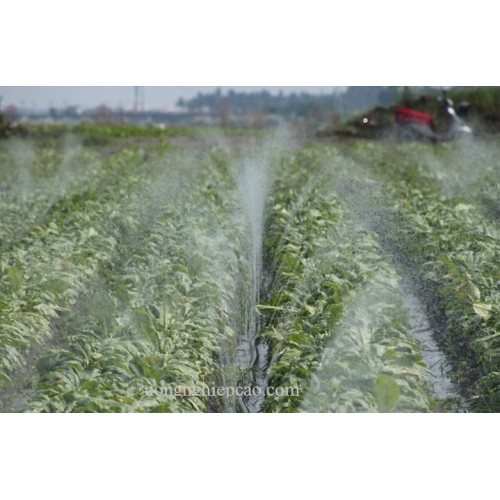 Ống phun mưa phi 42