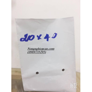Túi bầu trồng cây